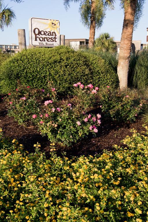 מירטל ביץ' Ocean Forest Villas מראה חיצוני תמונה